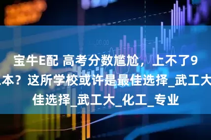宝牛E配 高考分数尴尬，上不了985下不去二本？这所学校或许是最佳选择_武工大_化工_专业