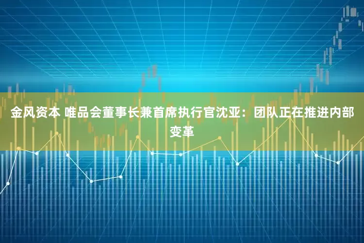金风资本 唯品会董事长兼首席执行官沈亚：团队正在推进内部变革