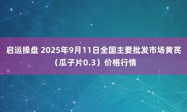 启运操盘 2025年9月11日全国主要批发市场黄芪（瓜子片0.3）价格行情